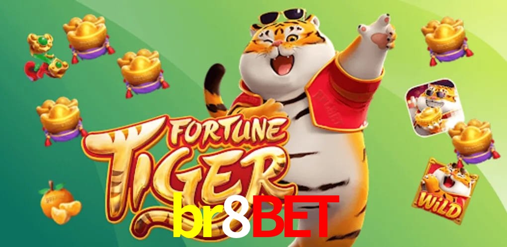 Experiência VIP br8bet